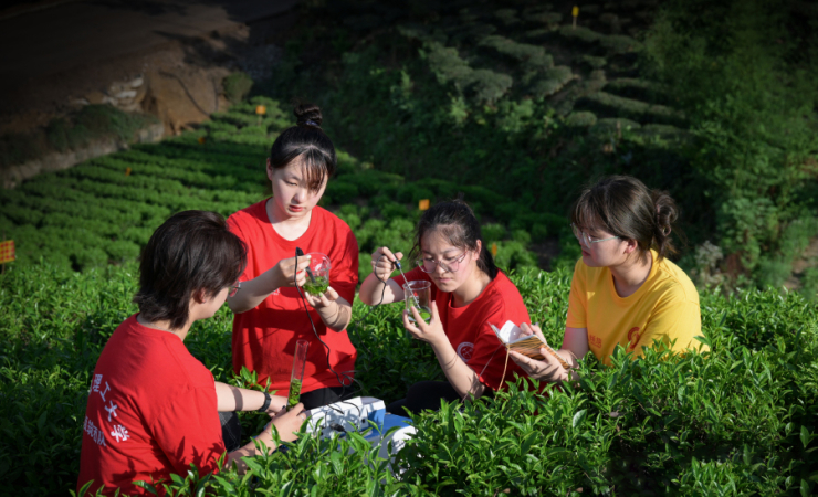 安徽六安：科技支农，这群大学生志愿者用行动助力乡村振兴