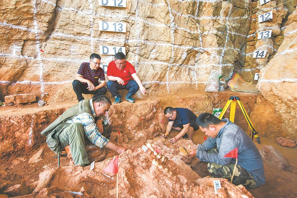 繁昌人字洞遗址第十次野外考古发掘结束