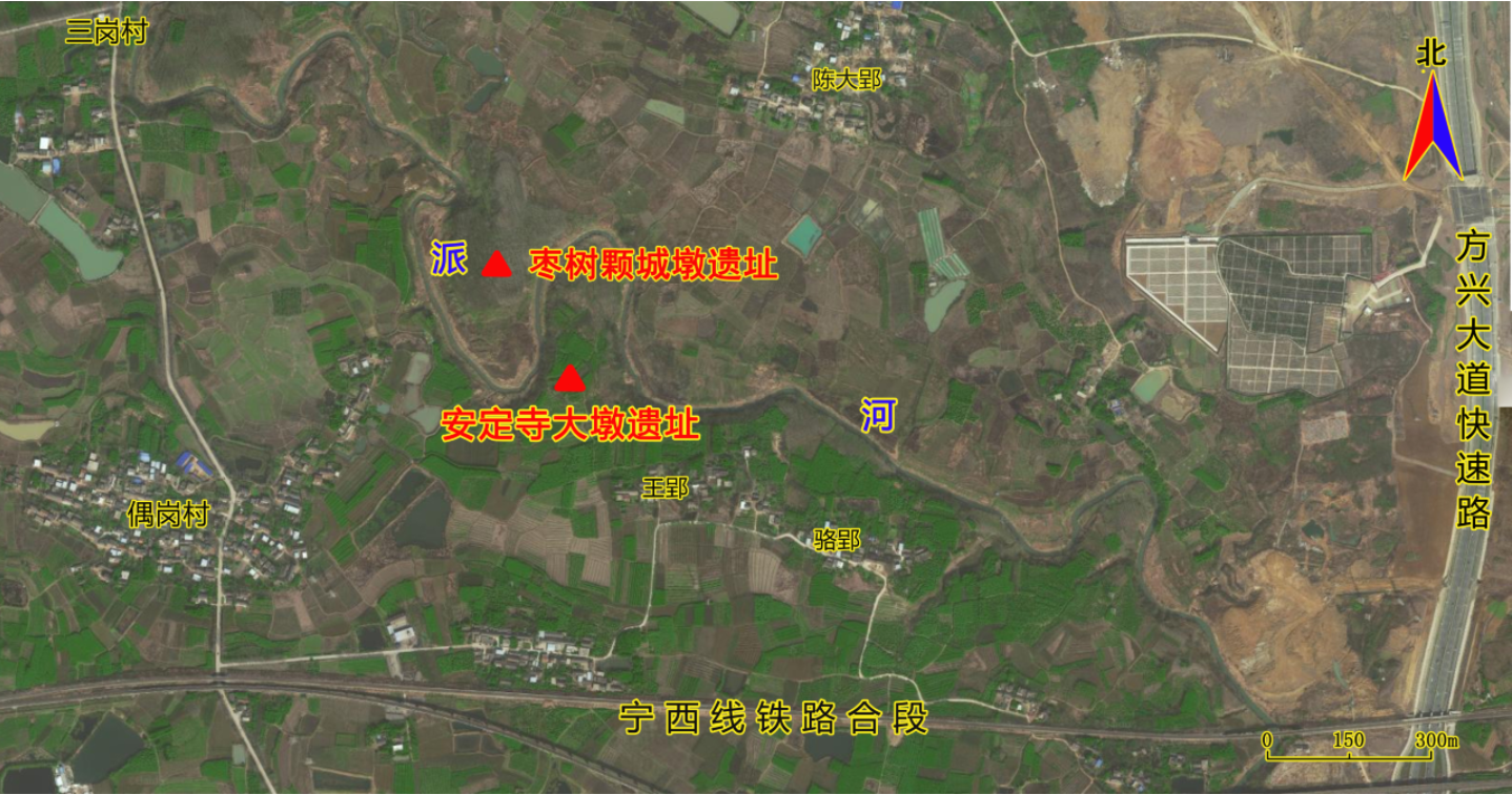 图2 安定寺大墩遗址位置示意图（卫星图）及其与枣树颗城墩遗址的相对位置关系图.png