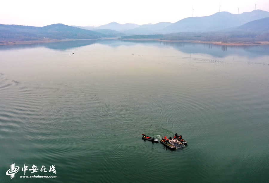 6、1月21日，在安徽省全椒县黄栗树水库，工人用网箱将鱼运往岸边。 (5).JPG