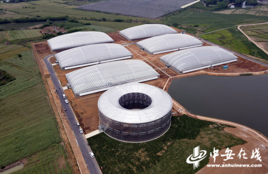 4月20日，这是肥东县安徽现代雾耕农业科技示范园植物工厂（无人机照片）。.jpg