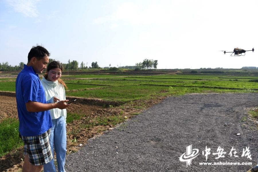 6月29日，胡盼盼（右）在家庭农场和同事一起用植保无人机进行除草作业。.jpg