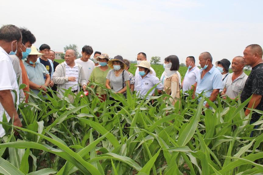 濉溪縣舉辦高素質農民培育玉米栽培培訓班