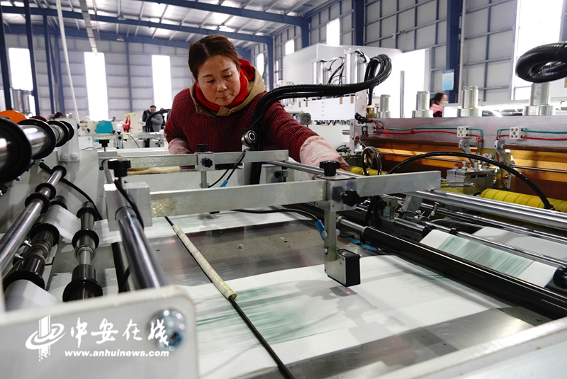 在桐城市双新产业园，一名工人正在操作机器，生产可降解的塑料袋.JPG