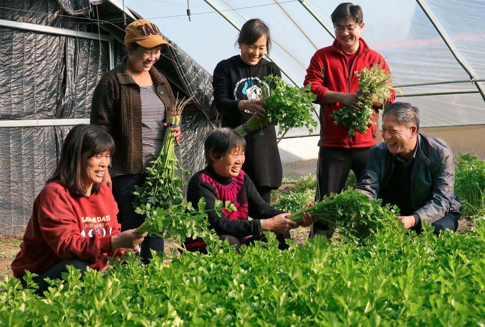邱宏瀛（图右一）在村民的蔬菜大棚里.jpg