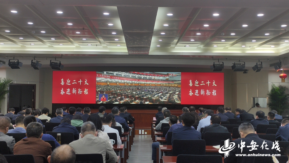 安徽省经信厅党员干部集中收看党的二十大开幕式2.jpg