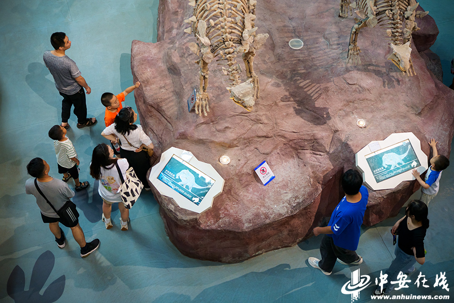 7月16日恰逢周末，安徽省地质博物馆里好不热闹。不少家长带着孩子前来逛展，学龄前蹒跚学步的孩童、背着书包记着笔记的中小学生们摩肩接踵，漫步于恐龙骨架脚下，驻足于五光十色的矿物化石展台前.jpg