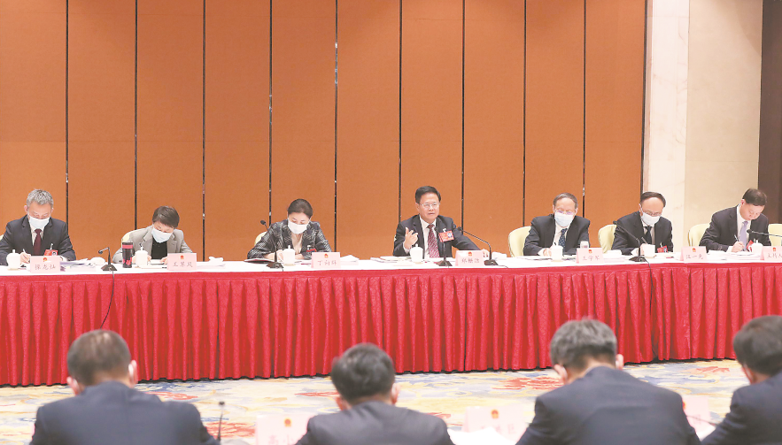 郑栅洁参加省第十三届人大第五次会议蚌埠代表团审议