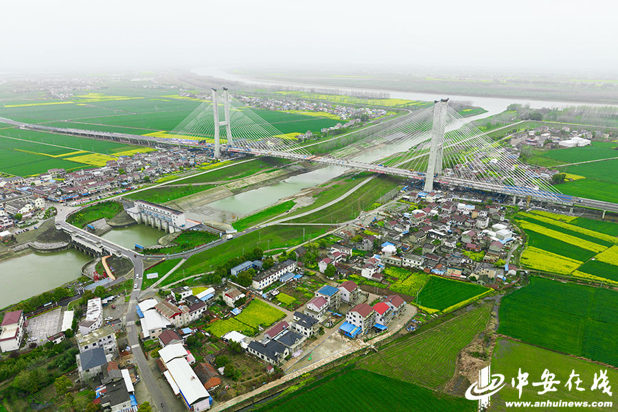 3月24日上午，G347安九二期PPP项目控制性工程——杨湾河特大桥（望江大桥）主桥合龙仪式在望江县杨湾河大桥施工现场举行.jpg